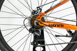 BICI R.29 RANGER TEAM MERCURIO