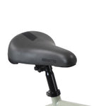 BICI R.20 CULT GRIS BENOTTO