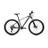 BICIR.29 XTA 3.0 GRIS ALUBIKE