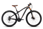 BICI R.29 RANGER PRO MERCURIO