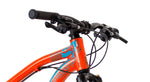 BICI R.29 DS XPERT MERCURIO